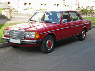  250 (W123) 1976-198